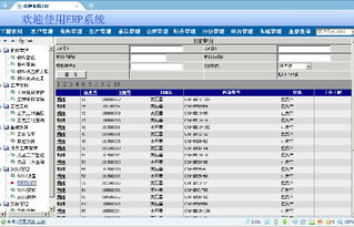 變壓器工廠ERP系統(tǒng)全攻略 價(jià)格、廠家、圖片與軟件開(kāi)發(fā)詳解